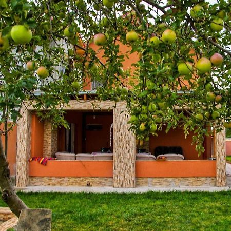Pensiunea Burciu Salcioara  Exteriér fotografie