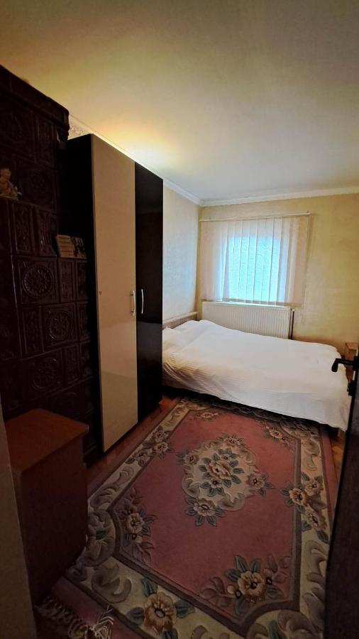 Pensiunea Burciu Salcioara  Exteriér fotografie