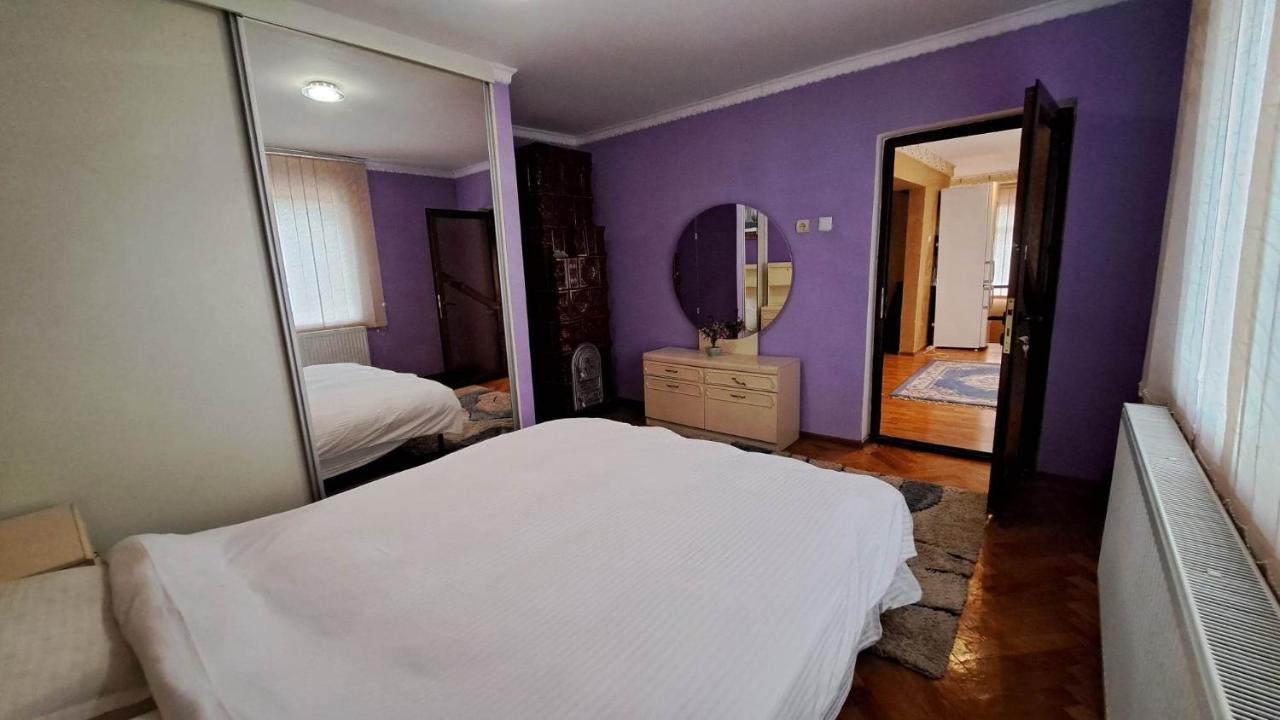 Pensiunea Burciu Salcioara  Exteriér fotografie