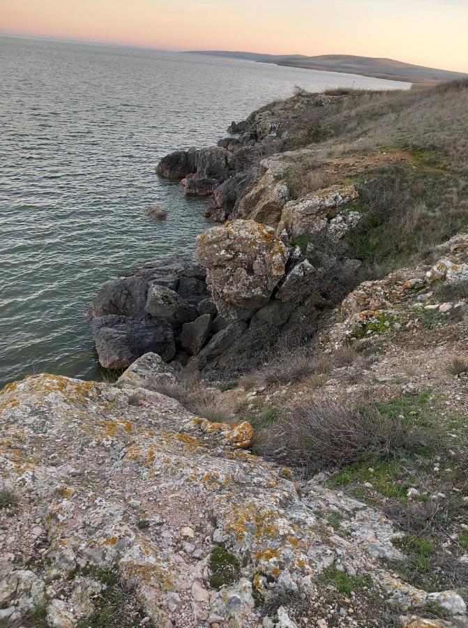 Pensiunea Burciu Salcioara  Exteriér fotografie