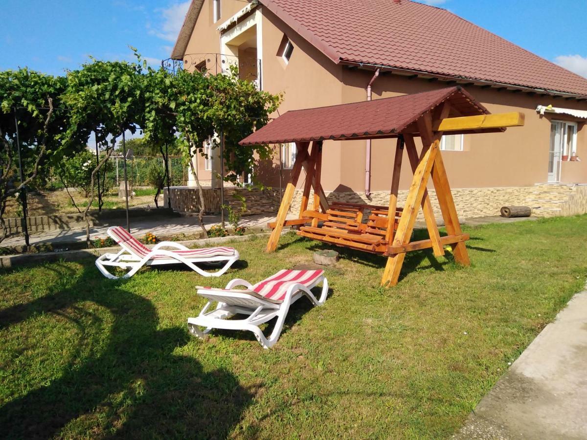Pensiunea Burciu Salcioara  Exteriér fotografie